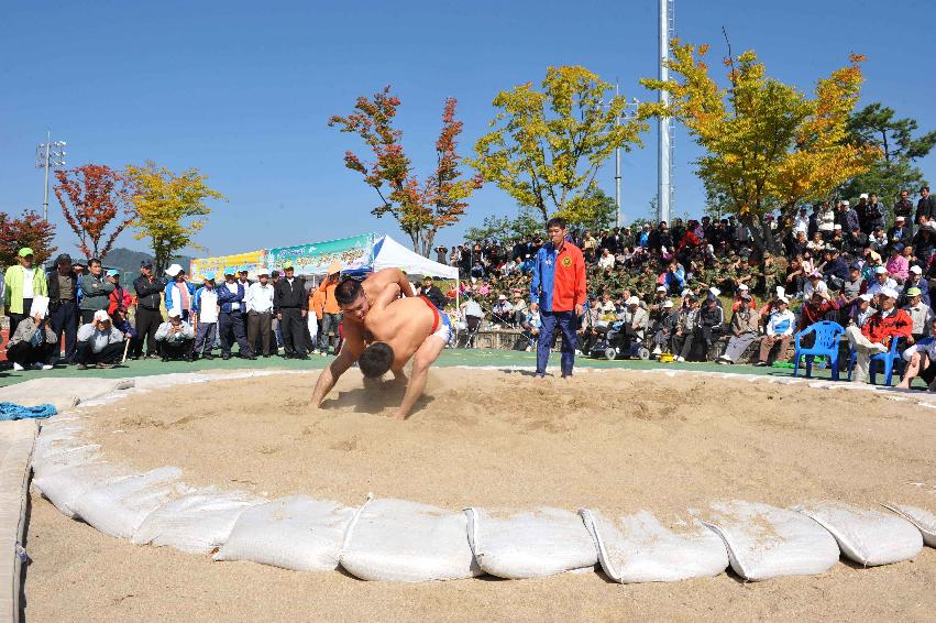 제26회 용화축전 의 사진