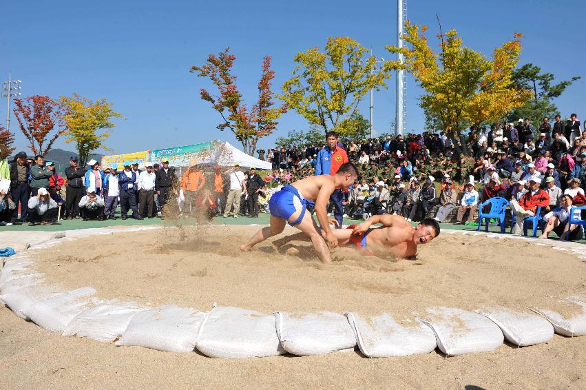 제26회 용화축전 의 사진