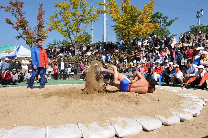 제26회 용화축전 의 사진