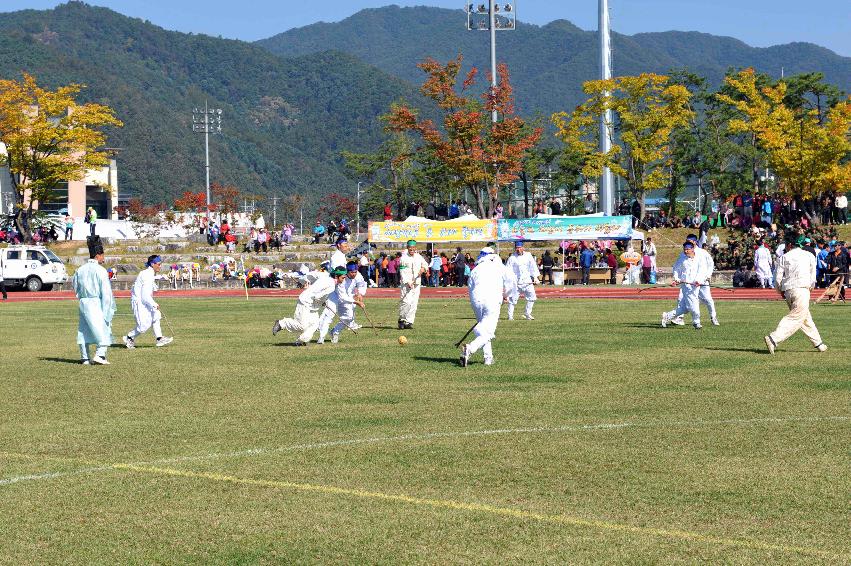 제26회 용화축전 의 사진