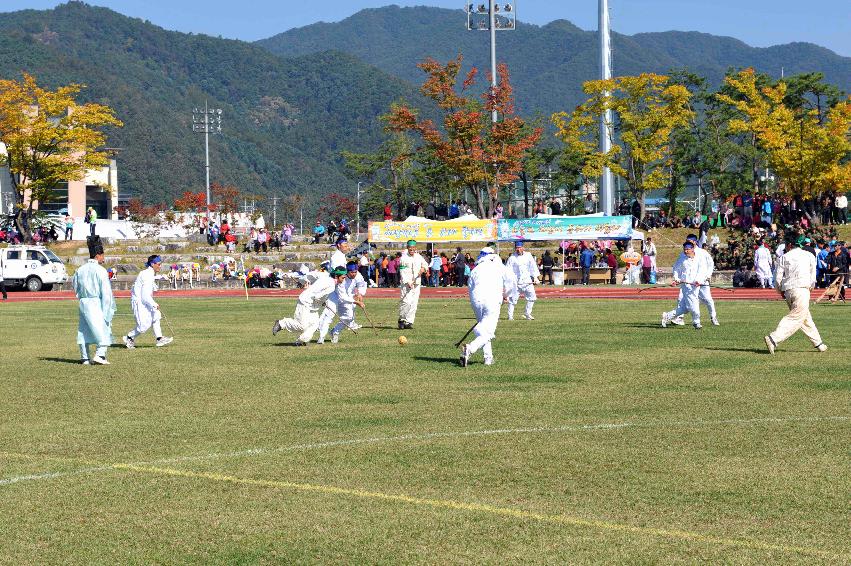 제26회 용화축전 의 사진