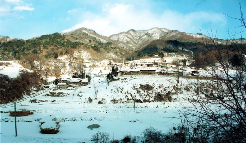 삼화리 사진