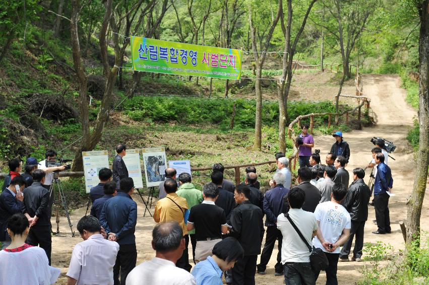 산림복합경영 시범림 운영협약 체결식 의 사진