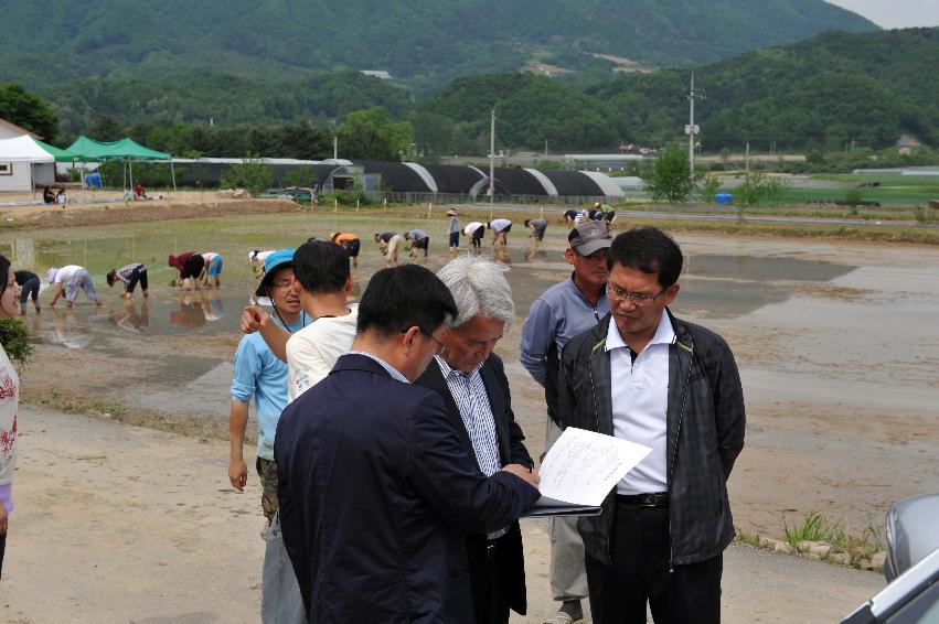 생명평화캠프 화천현장귀농학교 손모심기 의 사진