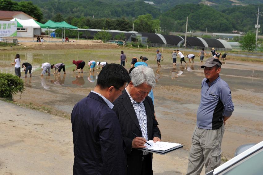 생명평화캠프 화천현장귀농학교 손모심기 의 사진