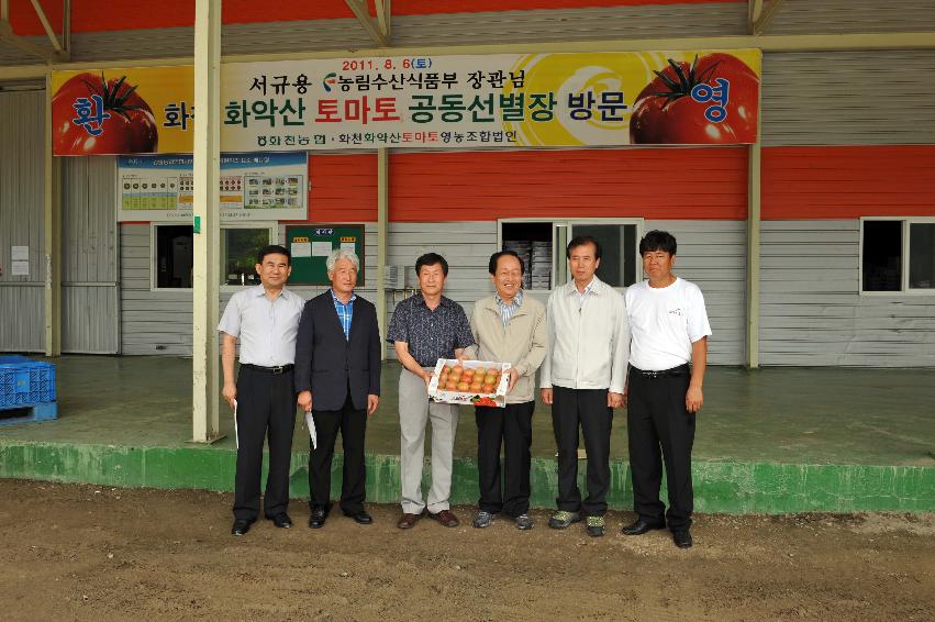 2011 서규홍 농림수산식품부장관 토마토선별장 방문 의 사진