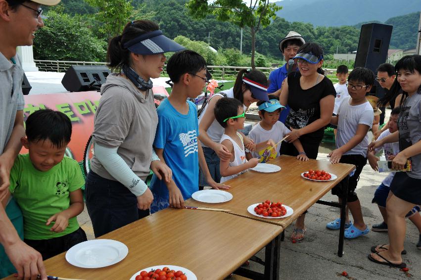 토마토 축제 행사 사진