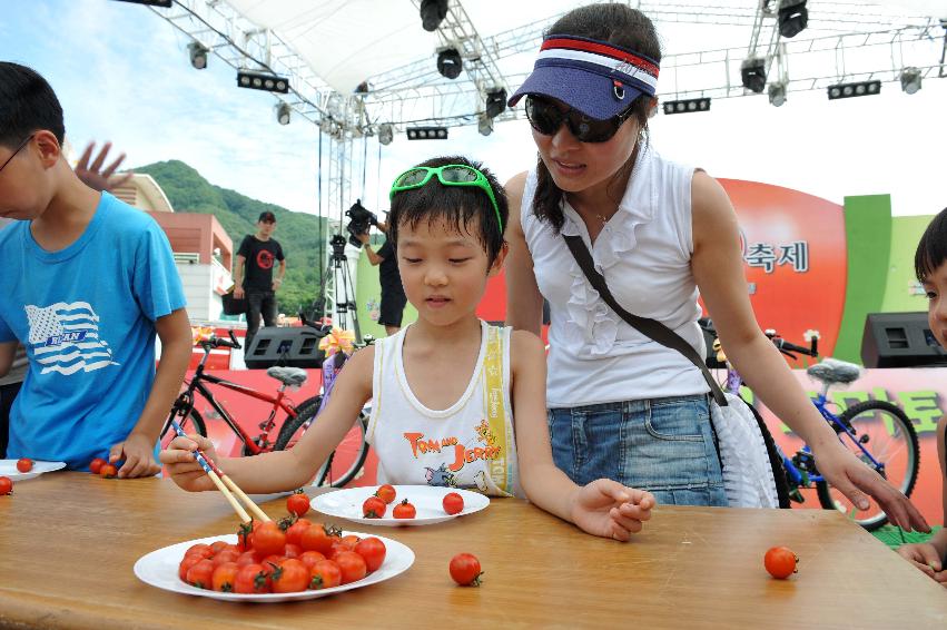 토마토 축제 행사 의 사진