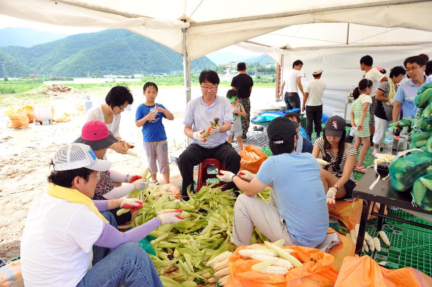 토마토 축제 행사 의 사진