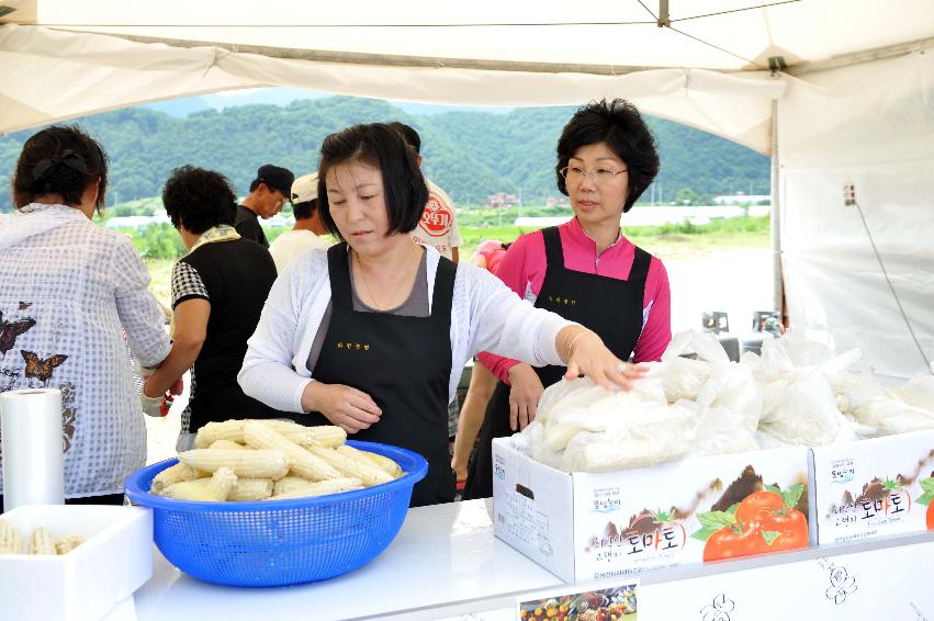 토마토 축제 행사 의 사진