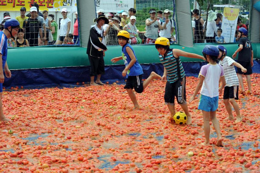 토마토 축제 행사 의 사진