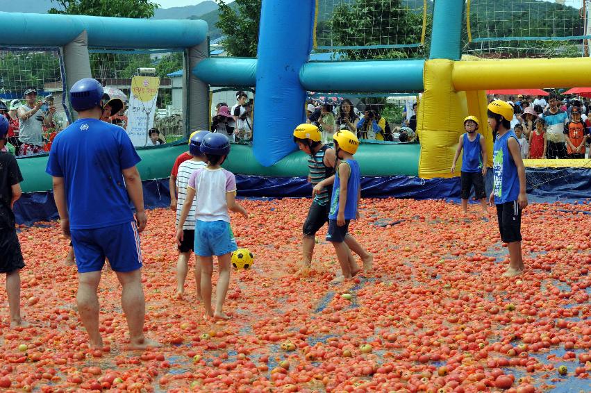 토마토 축제 행사 의 사진