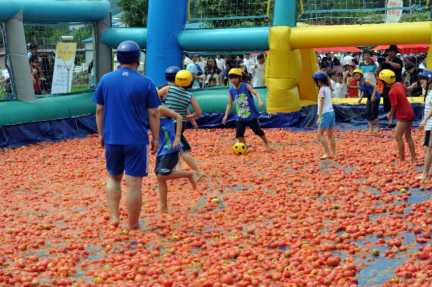 토마토 축제 행사 의 사진