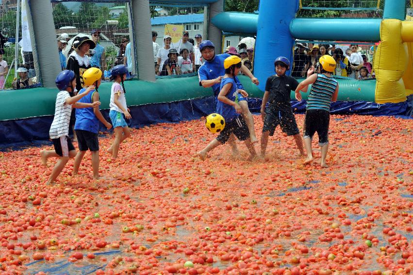 토마토 축제 행사 의 사진