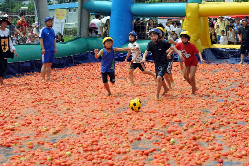 토마토 축제 행사 의 사진