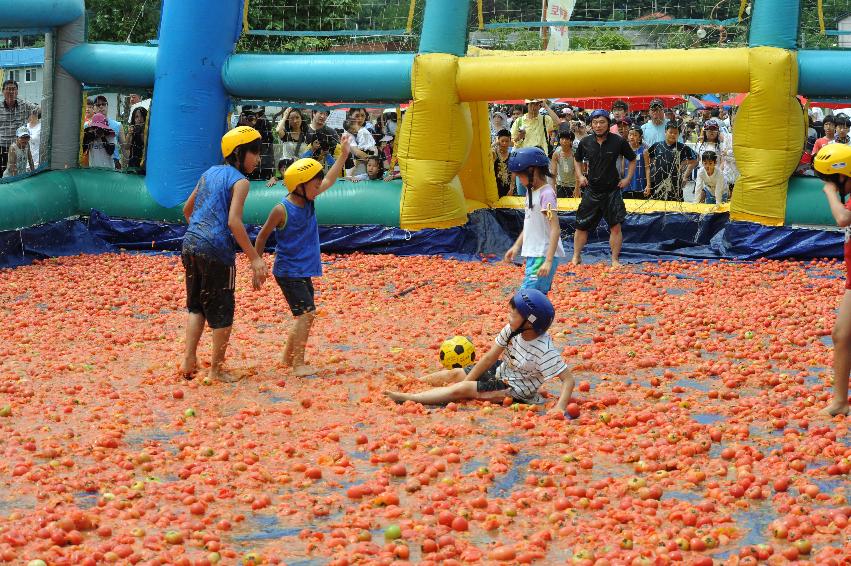 토마토 축제 행사 의 사진