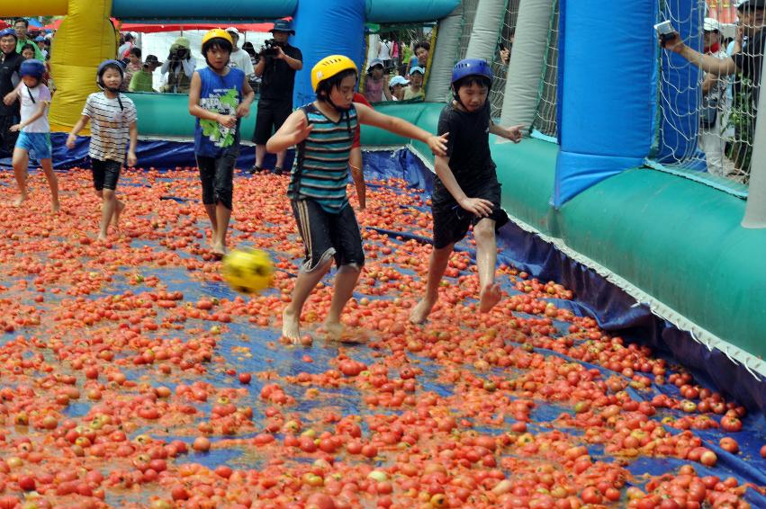 토마토 축제 행사 의 사진