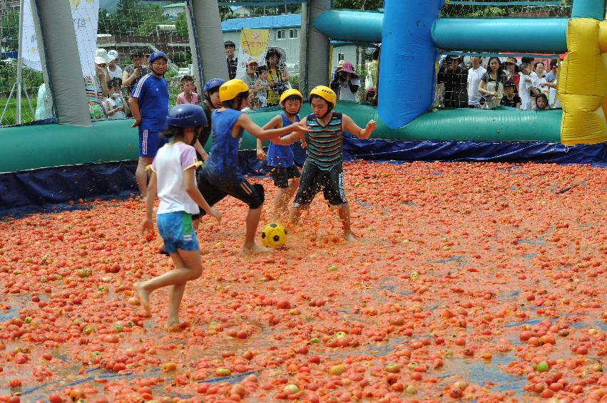 토마토 축제 행사 의 사진