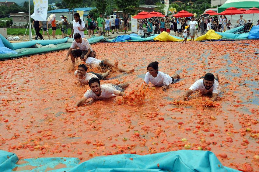 토마토 축제 행사 의 사진