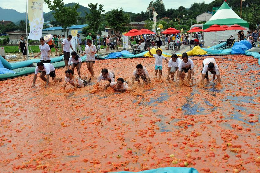 토마토 축제 행사 의 사진