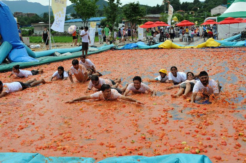 토마토 축제 행사 의 사진