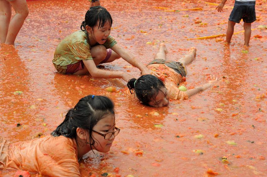 토마토 축제 행사 의 사진