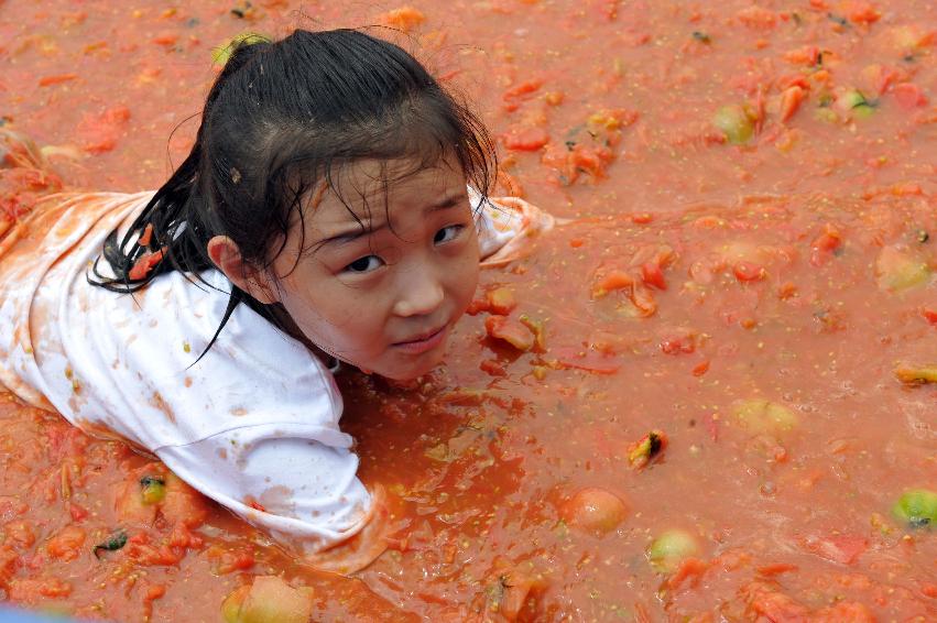 토마토 축제 행사 의 사진