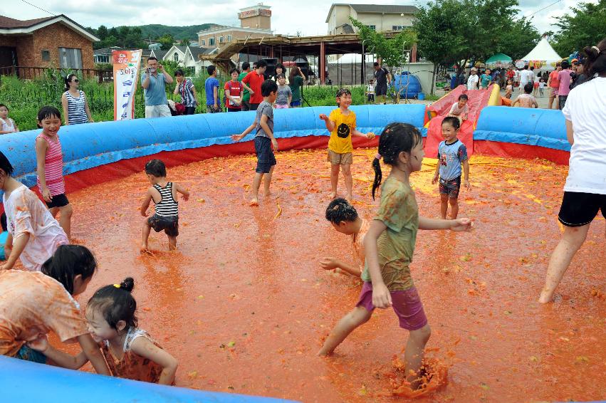 토마토 축제 행사 의 사진