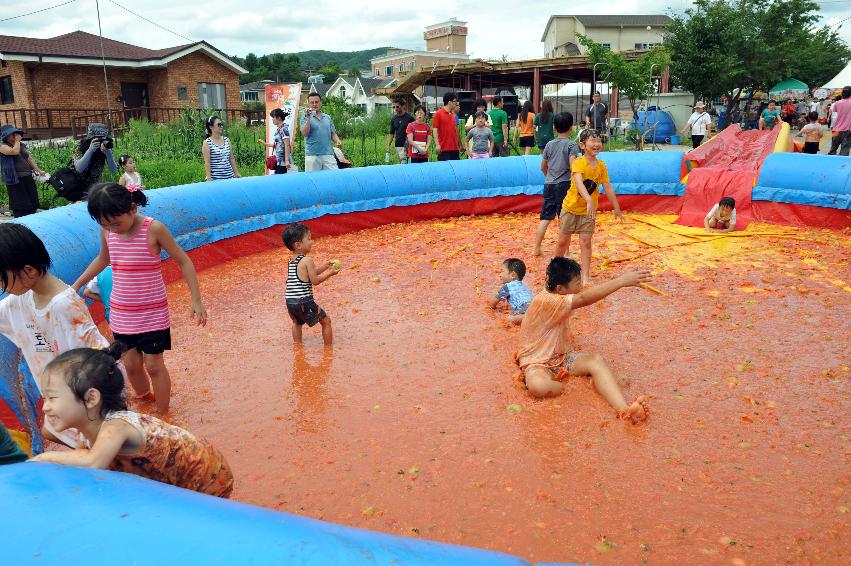 토마토 축제 행사 의 사진