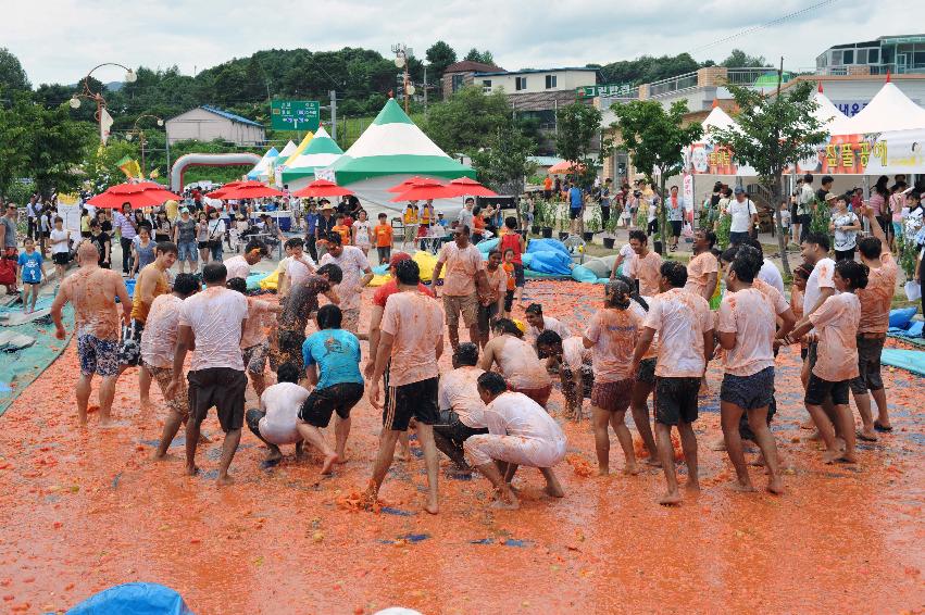 토마토 축제 행사 의 사진