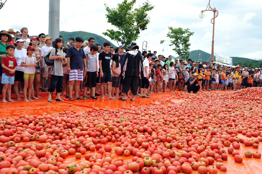 2011 황금반지 ?기 (토마토 전쟁) 의 사진