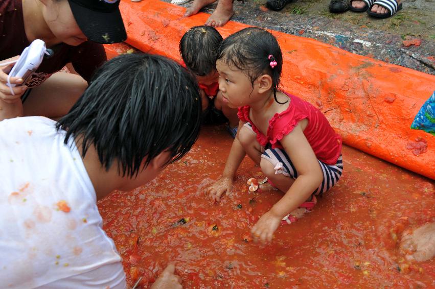 2011 황금반지 ?기 (토마토 전쟁) 의 사진