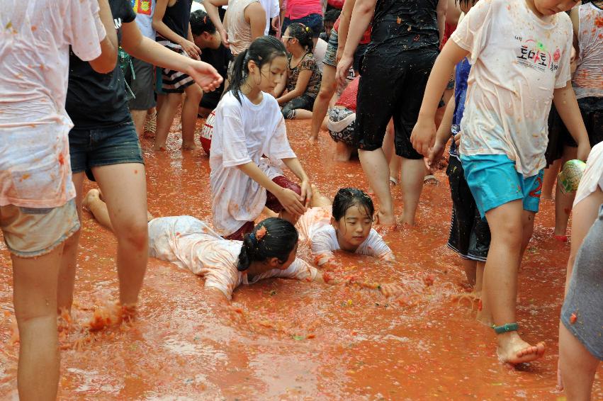 2011 황금반지 ?기 (토마토 전쟁) 의 사진