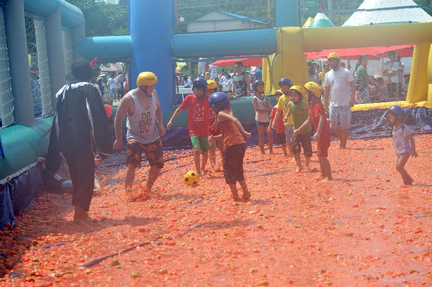 2011 토마토 축구 사진