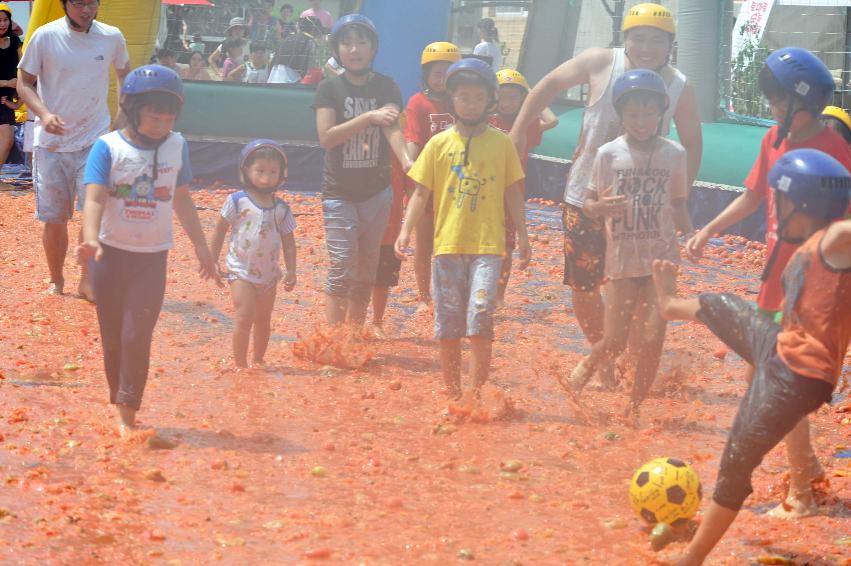 2011 토마토 축구 의 사진