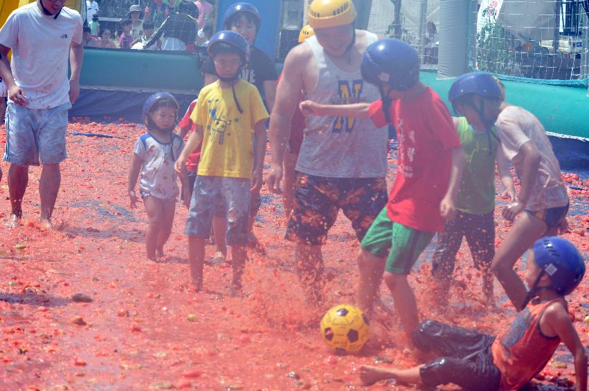 2011 토마토 축구 의 사진