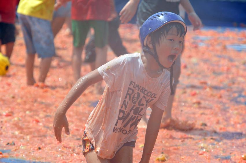 2011 토마토 축구 의 사진