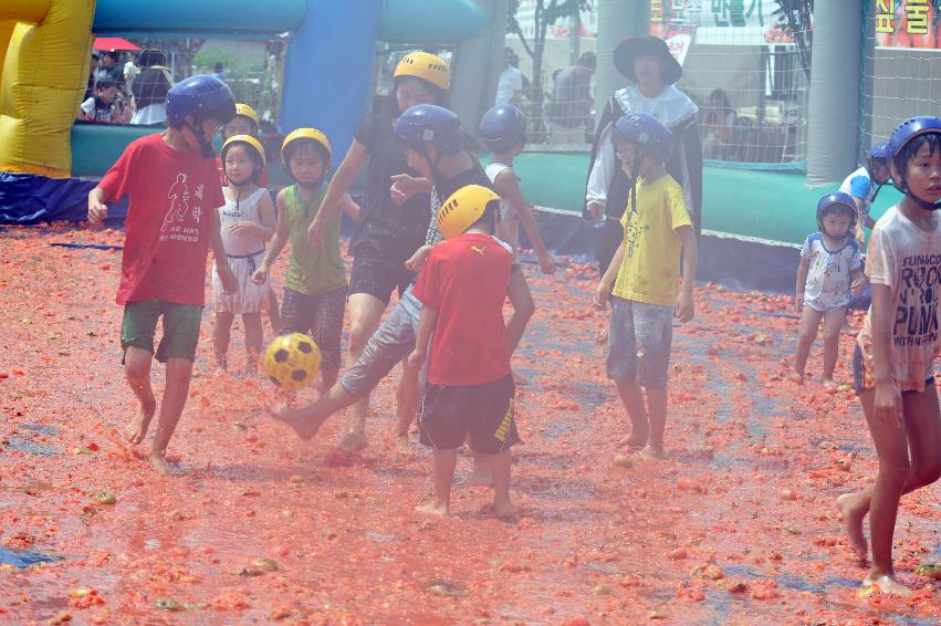 2011 토마토 축구 의 사진