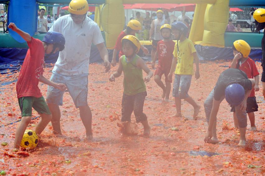 2011 토마토 축구 의 사진