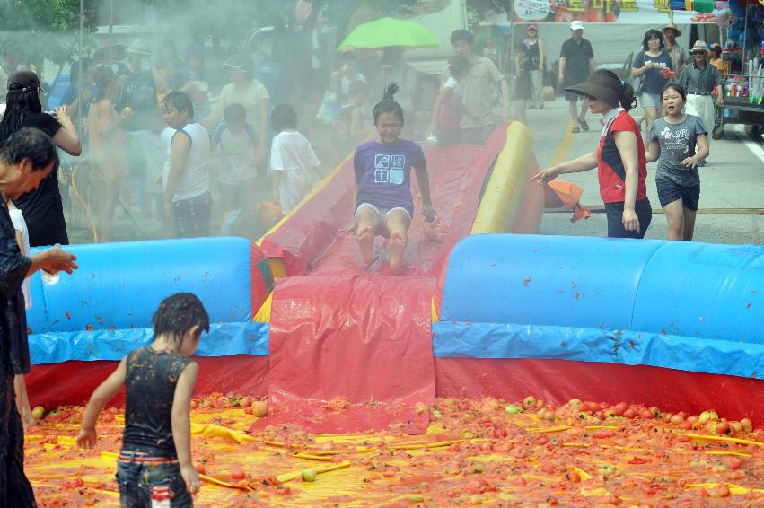 2011 토마토 축구 의 사진