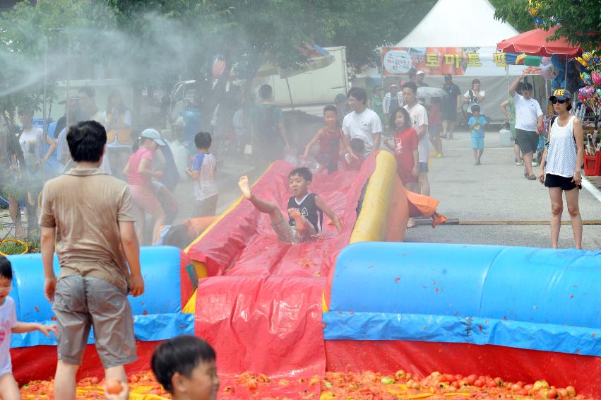 2011 토마토 축구 의 사진