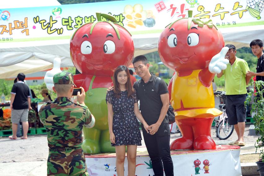 2011 토마토 축구 의 사진