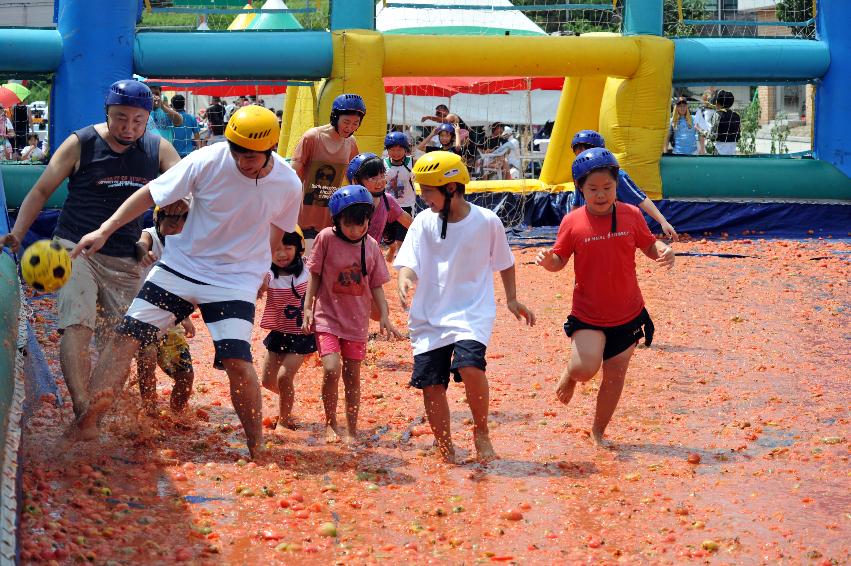 2011 토마토 축구 의 사진