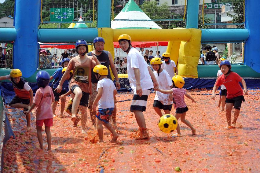 2011 토마토 축구 의 사진