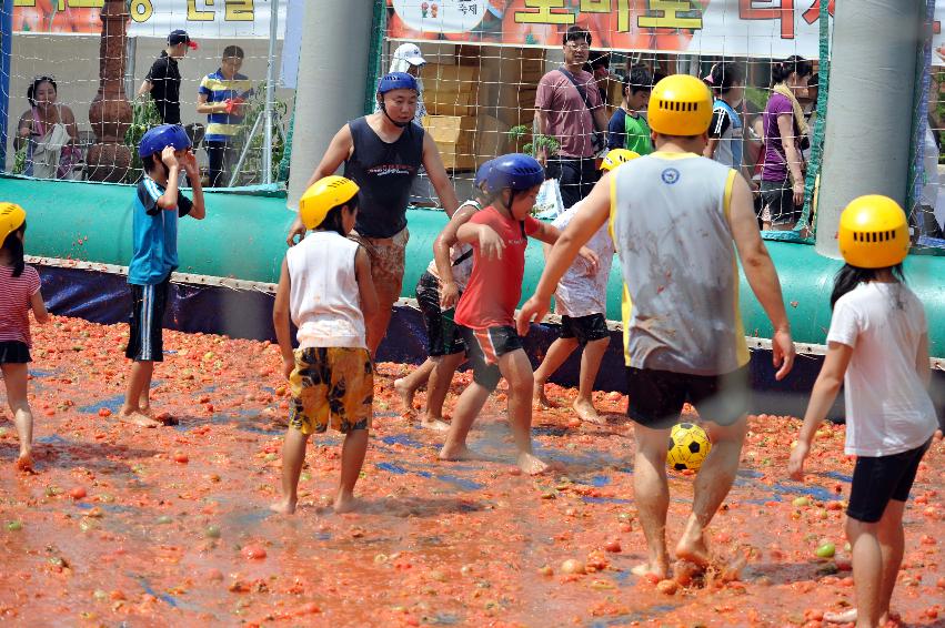 2011 토마토 축구 의 사진