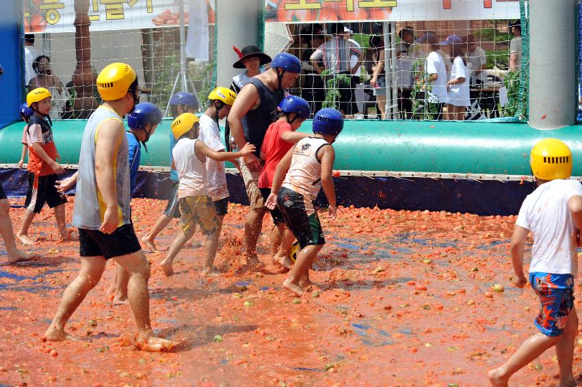 2011 토마토 축구 의 사진