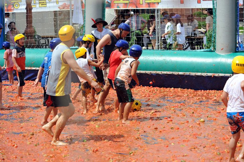 2011 토마토 축구 의 사진