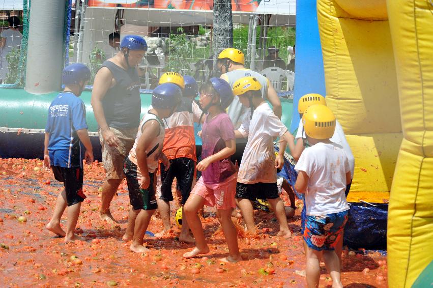 2011 토마토 축구 의 사진