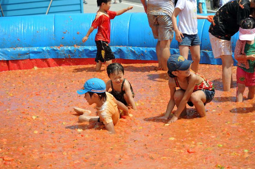 2011 토마토 축제 사진