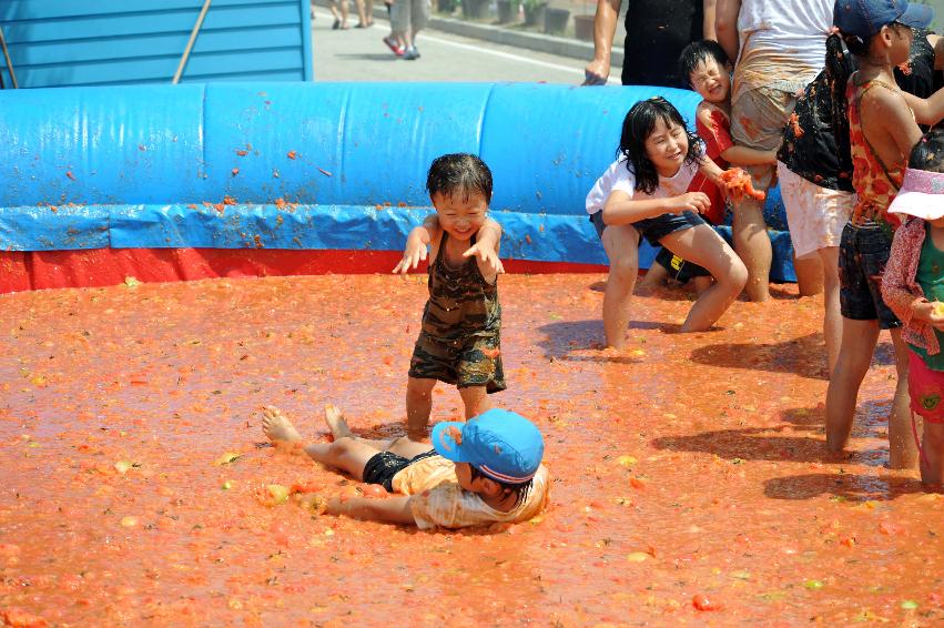 2011 토마토 축제 의 사진